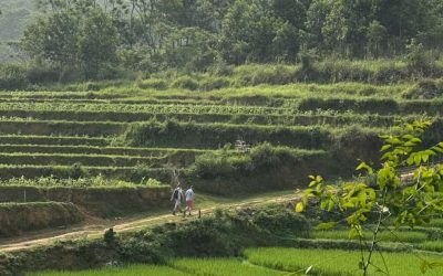 Explore Countryside Landmarks and Local Life on a Half-Day Motorbike Tour