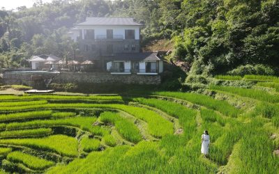 Discover the Beauty of Pu Luong – Ninh Binh: 3 Days 2 Nights